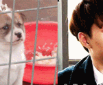 [EXO] <b>솔직</b>ㅎㅣ오늘애들인스타그램
