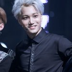 [EXO] 비둘기 새끼 욕하는것도 이젠 지친다