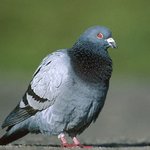 [EXO] 관<b>종년</b> 남친