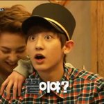 [EXO] 둘기야 이제우리