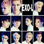 [EXO] 콘서트 할때 애들 할 말 궁예 해볼게