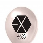 [EXO] 우리 <b>임시</b>색이걸로바뀐거 아니였음?