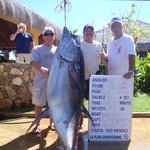 [공포베스트] 정말 무서운 <b>참치</b>의 입 속