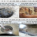 [EXO] @@@서울 고가도로도 위험함@@@