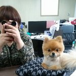 [엽기발랄개] 이상한 매력의 뽀메 '단추' 3탄