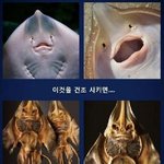 [짤북] 프레데터.<b>jpg</b>