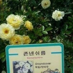 [EXO] 부장님 <b>간섭</b>또시작됨