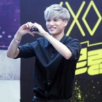 [EXO] 드콘끝나고 나면 비스트팬들