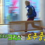 [EXO] 크둘기는 크둘기팬들과