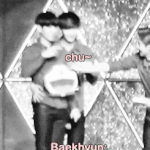 [EXO] 이번에 단콘가면 애들 