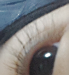 속눈썹 <b>연장</b>한 눈같나요?