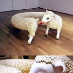 [<b>공포</b>베스트] 약빨고 만든 인형