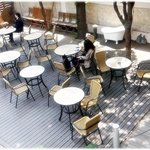 [고양이] 사무실 고양이님 4 (메인쿤)