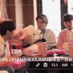 [EXO]  크리스 타오 인형 <b>빠순이</b>ㅋㅋㅋ