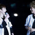 [EXO] ㅅㅂ둘기땜에 위아원되나 했더니