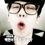 [EXO] 제가강아지상인데<b>고양이상</b>이신분들진짜너무부럽다..