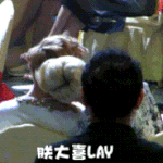 [EXO] 레이 목 예민한데 세훈이 봐ㅋㅋㅋㅋ