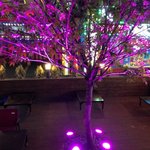 [신림동 맛집] 여름이 오는 보양식 - <b>대물</b>장어