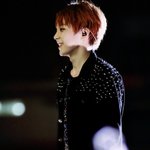 [EXO] <b>조화</b> 나도 눈감고 골랐어 .....와....