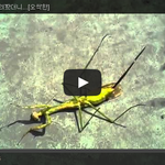 [공미니] 약혐] 사마귀에게 <b>약품</b>을 뿌렸더니