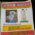 저 좀 살려주세요..빼로야...