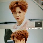 [비스트] 헐 주간아이돌ㅠㅠ