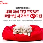 <b>로얄</b>캐닌 서포터즈 모집하길래