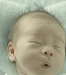 [EXO] 지금시간에 <b>족발</b>먹으려고 전화했더니