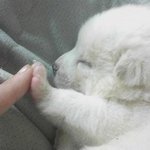 [꼭봐주세요] 진짜 얼굴이 못생겨서 힘들다