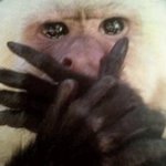 초여름부터 준비하는 샌들 코디법! 물론 난 멀티슈즈 <b>살레</b>와 힐훅!