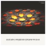 [추억파리여] 뜨거울때 꽃은 핍니다