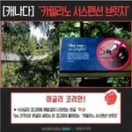 [<b>추억</b>파리여] 세계에 퍼져 있는 한글 낙서들