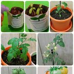 [<b>b1a4</b>] 흔한 아이돌의 취미