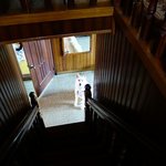 [허스키<b>심바</b>] <b>심바</b>의 산책일기 -즐겁게 산책해요.-