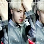 [EXO] 지금주찾장