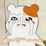 [EXO] 아니시발 저따우로검색대<b>설치</b>할거면