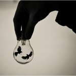 예쁘고 신기한 전구아트 모음