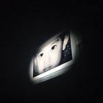 [EXO] 존나 <b>애기사진</b> ㅠㅠㅠㅠㅠㅠㅠㅠㅠㅠㅠㅠㅠㅠㅠㅠㅠㅠㅠ