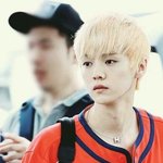 [EXO] 여러분 한번보고가세요~