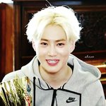 [EXO] 쇼챔무한투표하는법알려줌