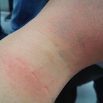 [시우민] 콘서트 후기