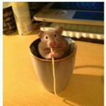 <b>g</b><b>컵</b>인데요 한번 봐주세요