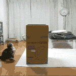 [<b>대갈</b>장군] 시간이 벌써...