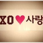 [카이] 나두 종인이...아..아니지..카이님 보고 옴