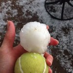 [공포베스트] 예전에 미국 펜실베니아에서 내린 <b>우박</b>