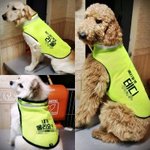 [멍쓰리일상] 개쓰리 유니폼맞추기 ㅋㅋ