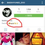 [EXO] 지금백현이허니비 씨더라<b>잇</b> 이해안되는<b>사람</b>들어와