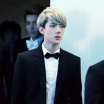[EXO] 갤러리 보다가 설렘사당함