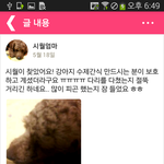 가족의 품으로 돌아온 시월이