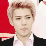 [EXO] 세훈이형존나까리하게생겻을꺼같아
